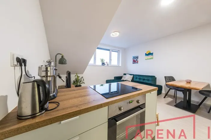 Prodej bytu 2+kk, Brno, Letní, 48 m2