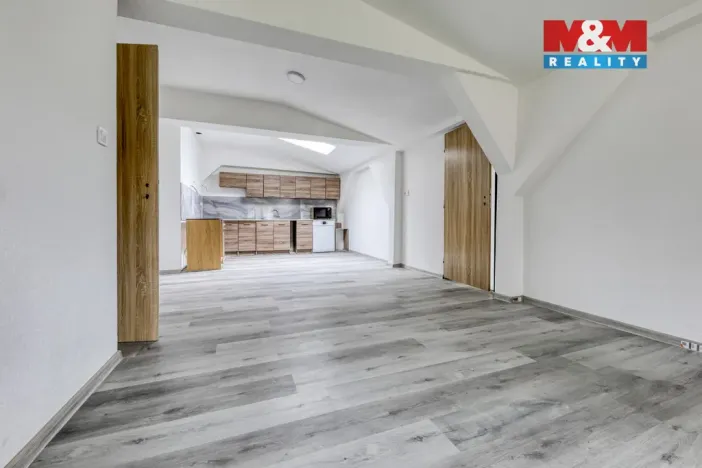 Prodej rodinného domu, Konstantinovy Lázně, Růžová, 767 m2