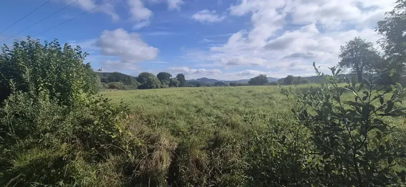 Prodej pozemku pro bydlení, Jestřebí, 1898 m2