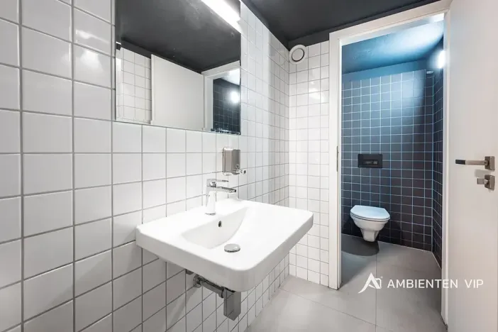 Prodej obchodního prostoru, Brno, Masarykova, 494 m2