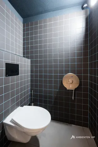 Prodej obchodního prostoru, Brno, Masarykova, 494 m2