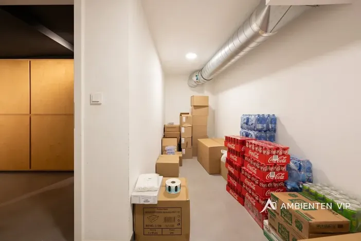 Prodej obchodního prostoru, Brno, Masarykova, 494 m2