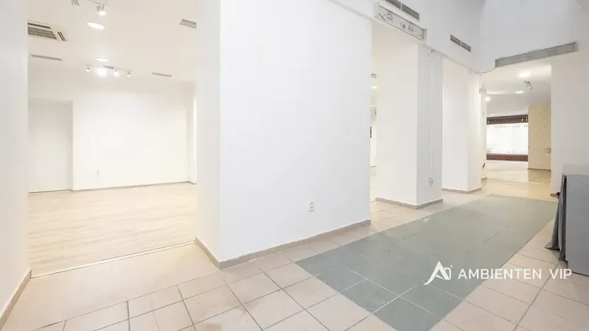 Prodej obchodního prostoru, Brno, Masarykova, 494 m2