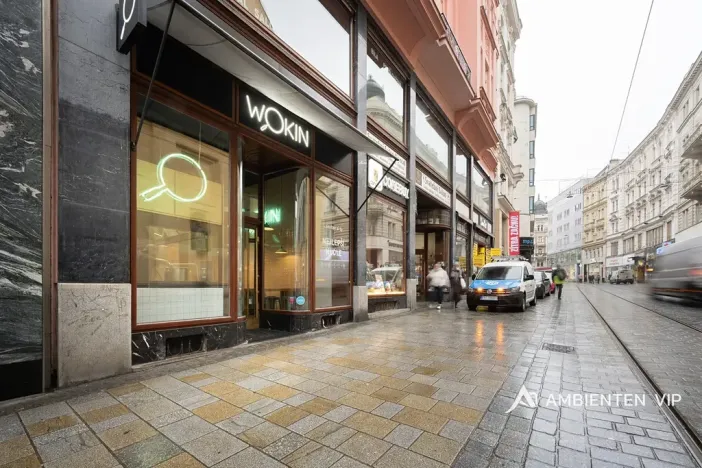 Prodej obchodního prostoru, Brno, Masarykova, 494 m2