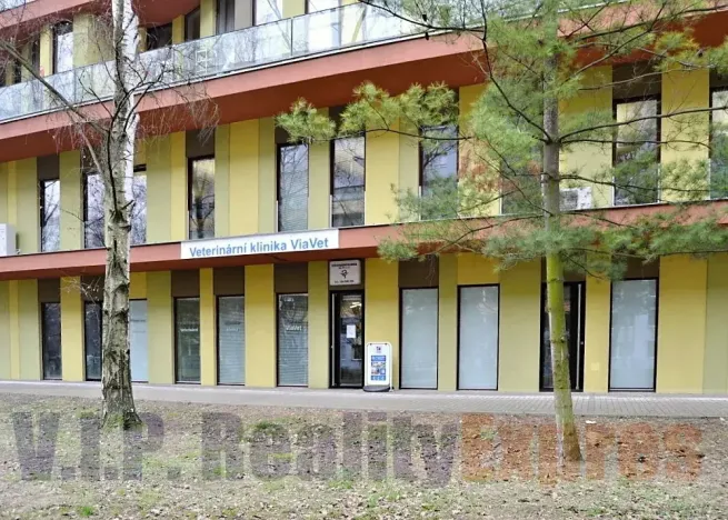 Prodej obchodního prostoru, Praha - Střížkov, Bohušovická, 259 m2