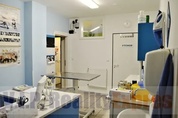 Prodej obchodního prostoru, Praha - Střížkov, Bohušovická, 259 m2