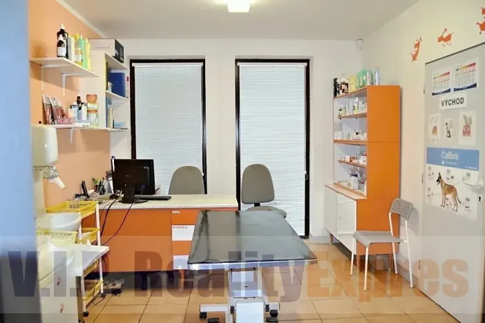 Prodej obchodního prostoru, Praha - Střížkov, Bohušovická, 259 m2