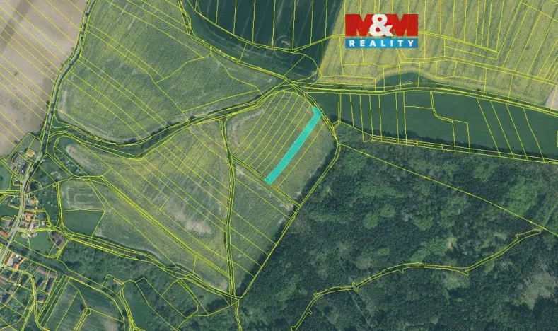 Prodej pole, Radkovice, 2942 m2
