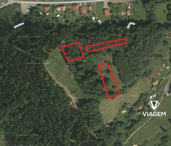 Prodej lesa, Mikulůvka, 3813 m2