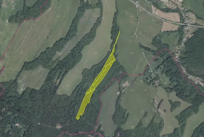 Prodej podílu pole, Stružnice, 12973 m2