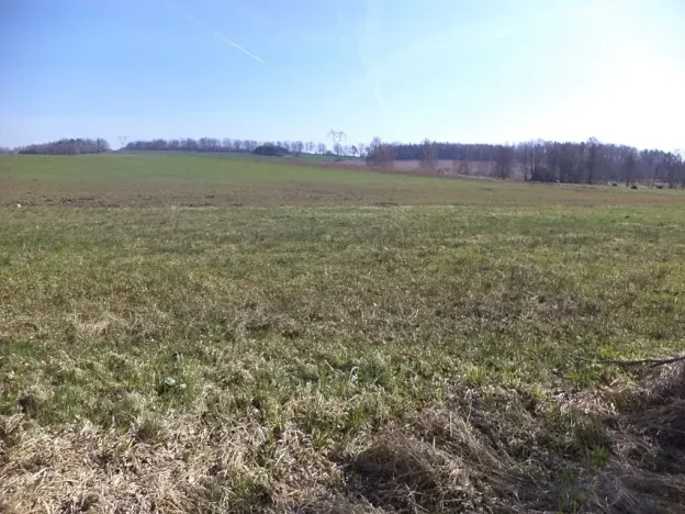 Dražba louky, Dolní Pěna, 4291 m2