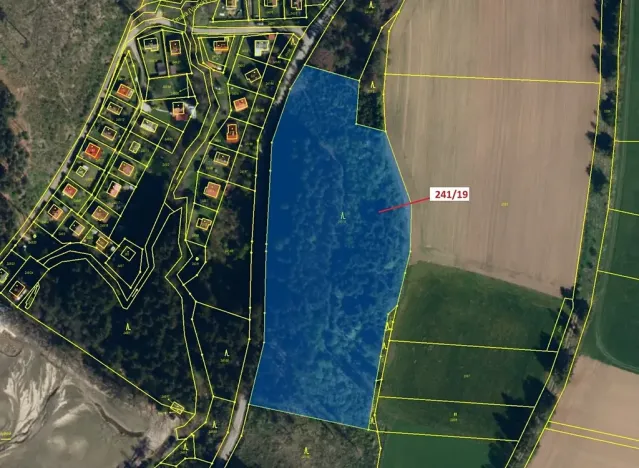 Dražba lesa, Cetoraz, 17171 m2