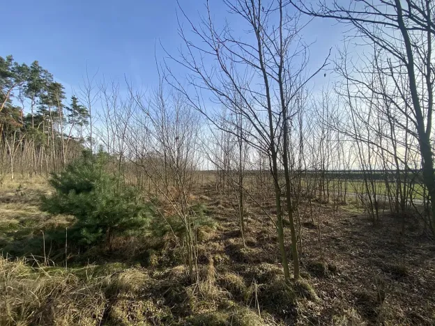 Prodej lesa, Kostelní Lhota, 9438 m2