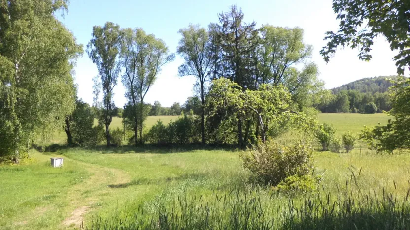 Prodej pozemku, Staré Křečany, 2931 m2