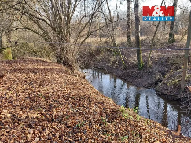 Prodej zemědělské usedlosti, Třebovle - Miškovice, 500 m2