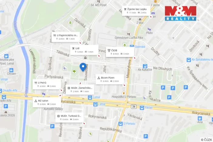 Pronájem skladu, Plzeň - Lobzy, Sousedská, 12 m2