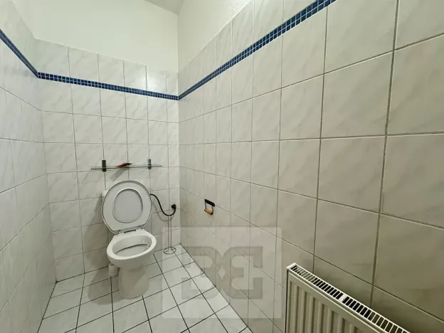 Pronájem bytu 4+kk, Brno, 120 m2