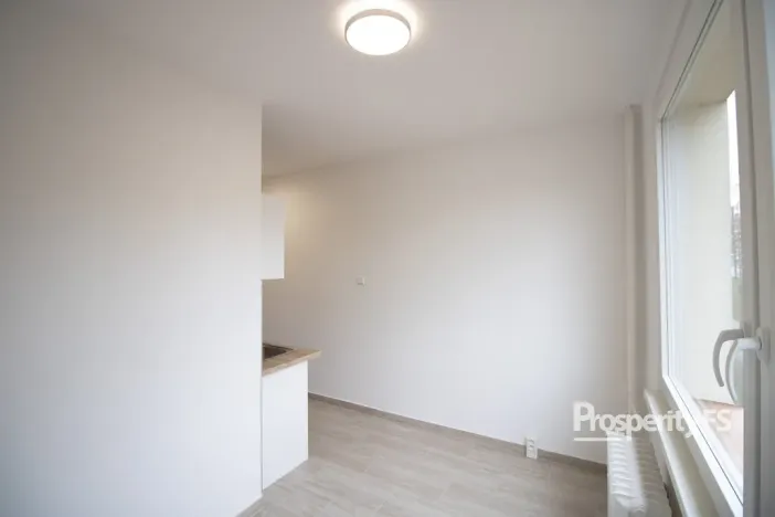 Pronájem bytu 2+1, Ústí nad Labem - Ústí nad Labem-centrum, Stará, 61 m2