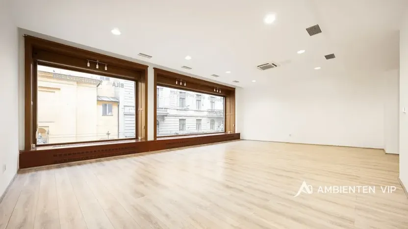 Pronájem obchodního prostoru, Brno, Masarykova, 176 m2