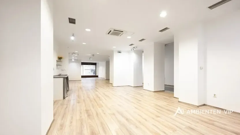 Pronájem obchodního prostoru, Brno, Masarykova, 176 m2