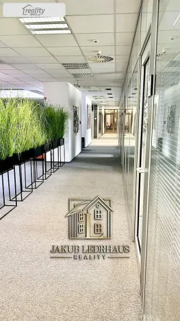 Pronájem kanceláře, Praha - Nové Město, Vladislavova, 974 m2