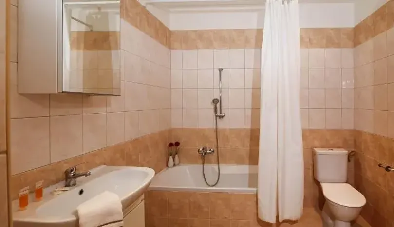 Pronájem bytu 3+kk, Praha - Vinohrady, Moravská, 65 m2