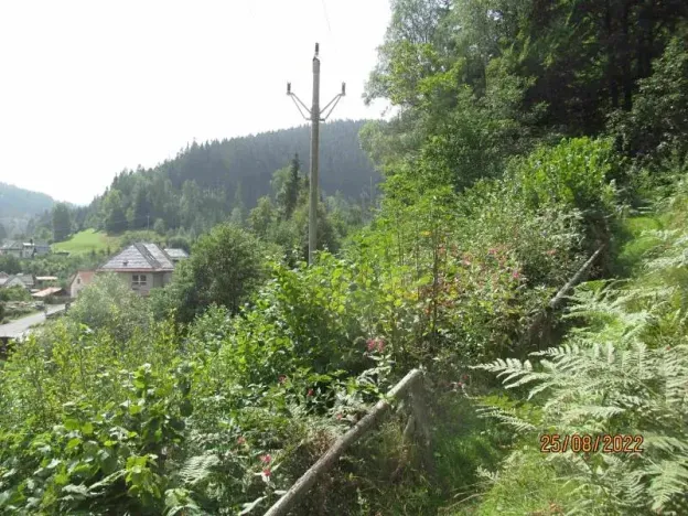 Prodej lesa, Hutisko-Solanec, 2245 m2