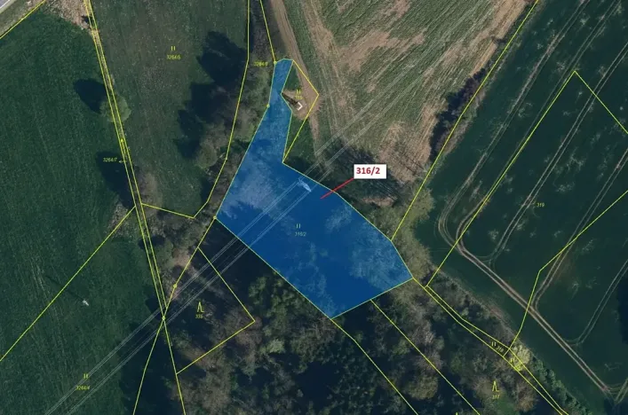 Dražba louky, Olešná, 3211 m2