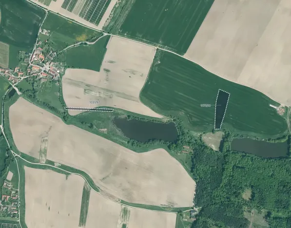 Prodej pole, Kluky, 21656 m2