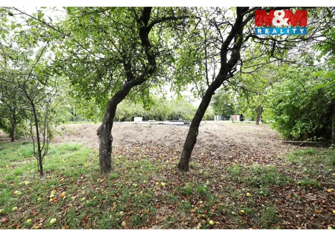 Prodej zahrady, Olomouc, Lazecká, 1376 m2