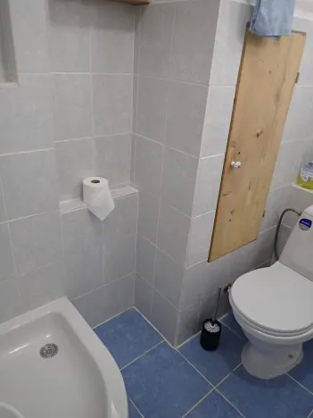 Pronájem bytu 1+kk, Liberec - Liberec I-Staré Město, Ruprechtická, 20 m2