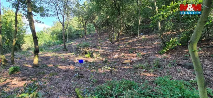 Prodej pozemku pro bydlení, Bílina, 1101 m2