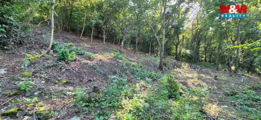 Prodej pozemku pro bydlení, Bílina, 1101 m2