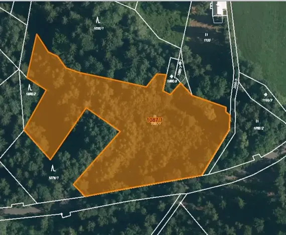 Prodej louky, Kořenov, 10620 m2