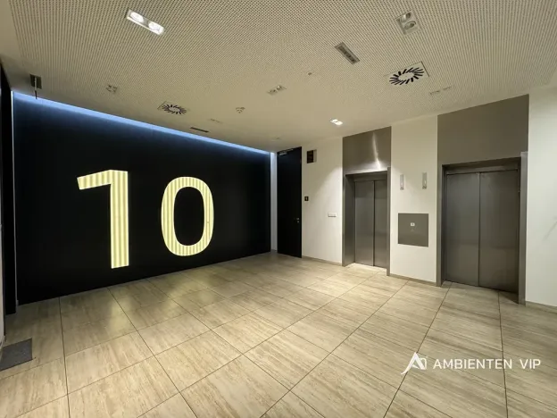 Pronájem kanceláře, Brno, Moravské náměstí, 403 m2