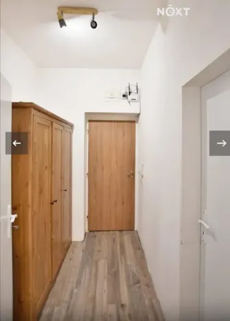 Pronájem bytu 1+kk, České Budějovice, K. V. Raise, 30 m2