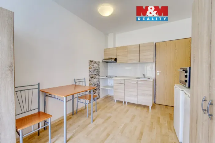 Pronájem bytu 1+kk, Plzeň, Nepomucká, 28 m2