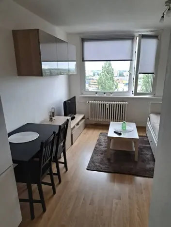 Pronájem bytu 1+kk, Praha, 37 m2