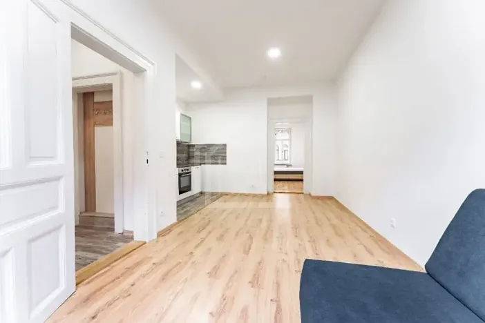 Pronájem bytu 1+1, Praha - Nusle, Oldřichova, 48 m2