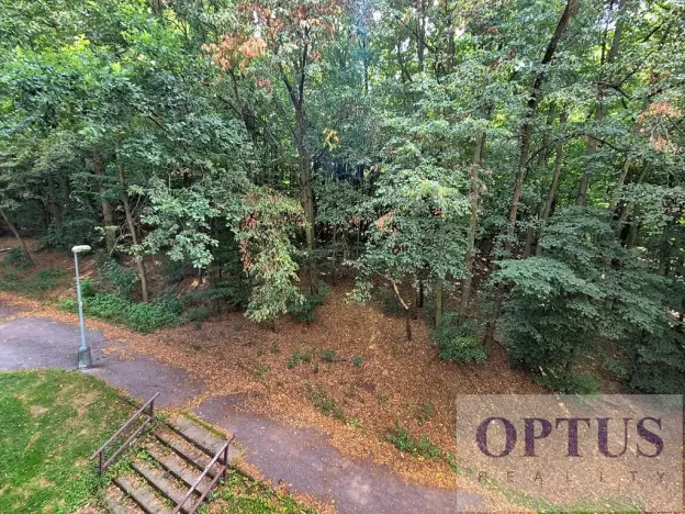 Prodej bytu 1+kk, Praha - Hodkovičky, Pod lysinami, 29 m2