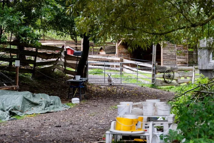 Prodej rodinného domu, Litíč, 60 m2