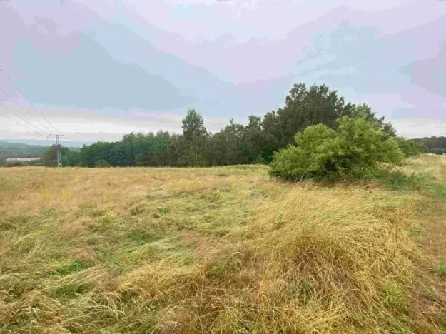 Dražba louky, Nové Sedlo, 49321 m2