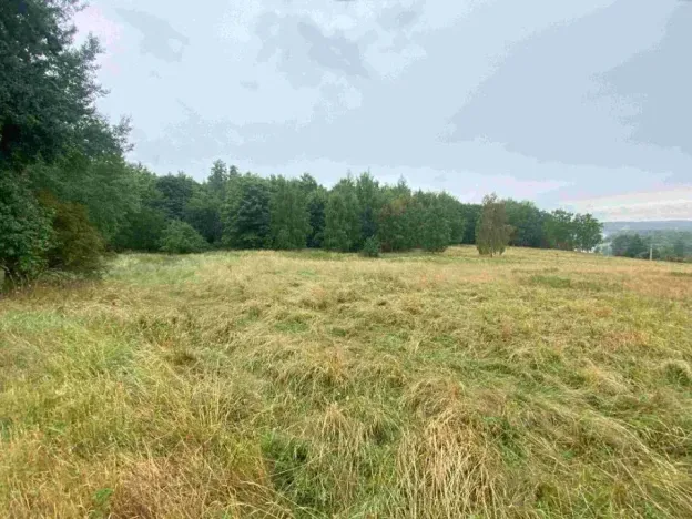 Dražba louky, Nové Sedlo, 49321 m2