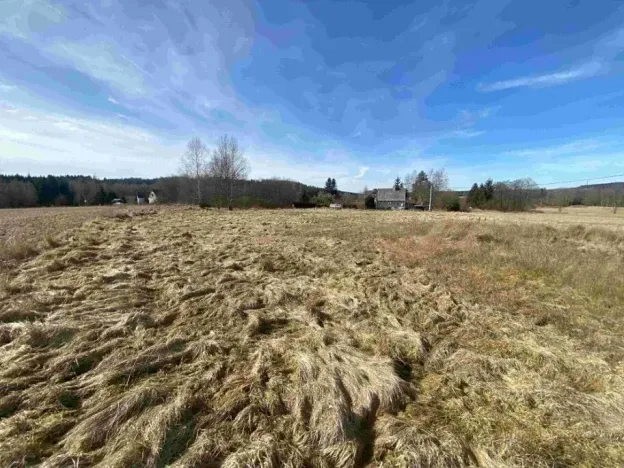 Dražba louky, Aš, 3300 m2