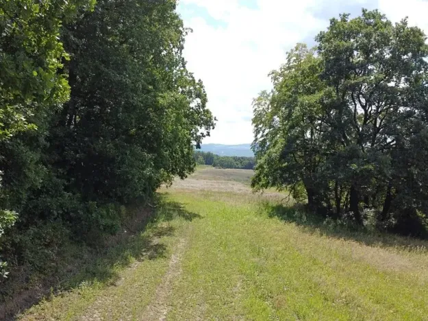 Dražba pole, Luhačovice, 23500 m2