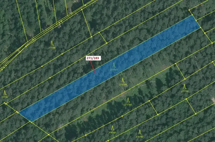 Dražba lesa, Milavče, 2398 m2