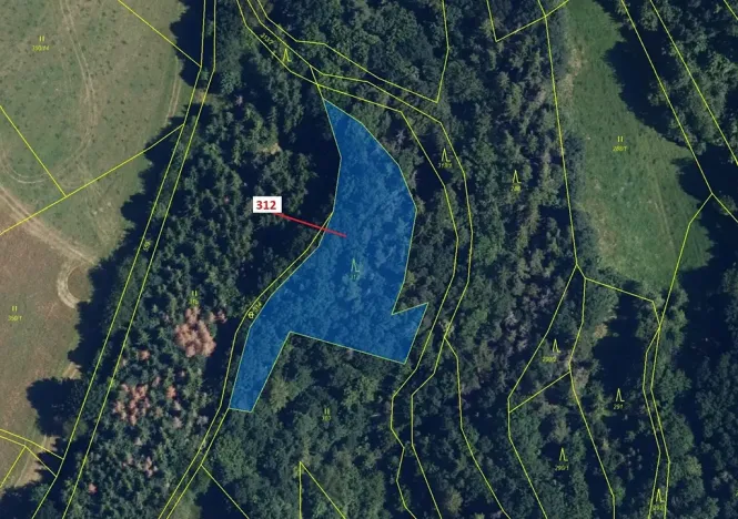 Dražba lesa, Bouzov, 2554 m2