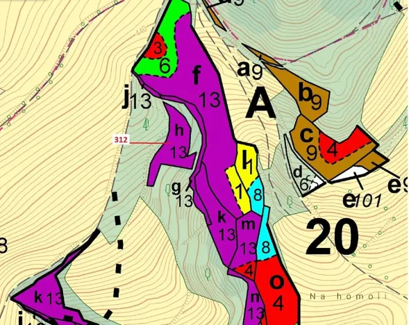 Dražba lesa, Bouzov, 2554 m2