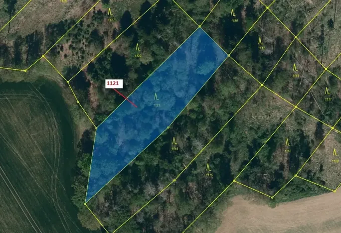 Dražba lesa, Náměšť nad Oslavou, 2998 m2