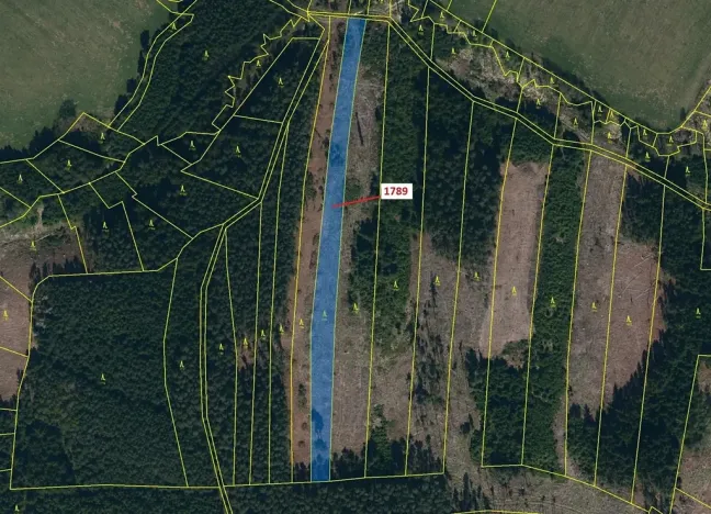 Dražba lesa, Žirovnice, 5036 m2